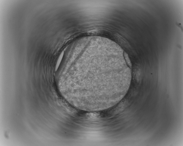 X0000098160660200805151230