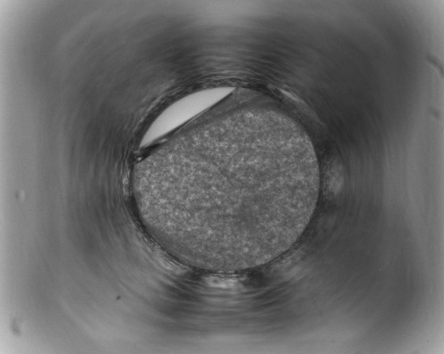 X0000098160661200805151230