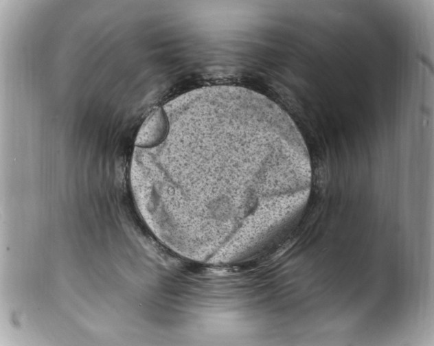 X0000098160662200805151230