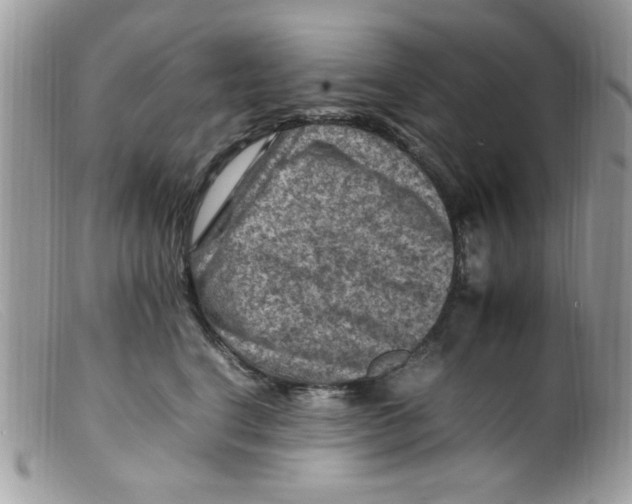 X0000098160664200805151230