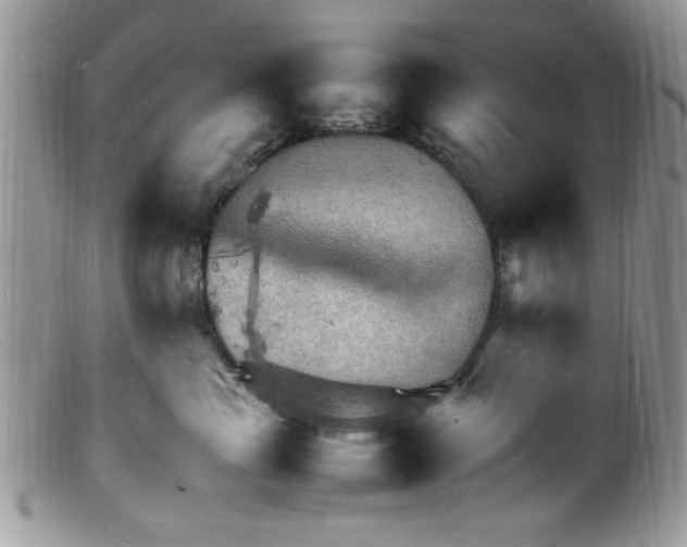 X0000098160665200805151230