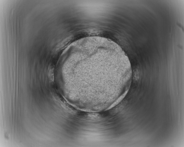 X0000098160666200805151230