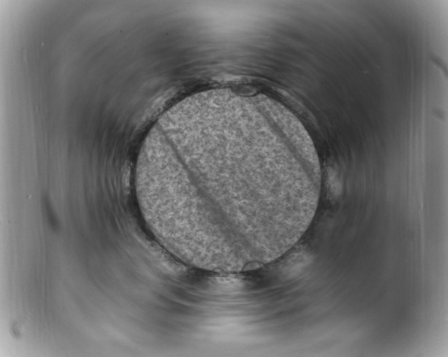 X0000098160668200805151230