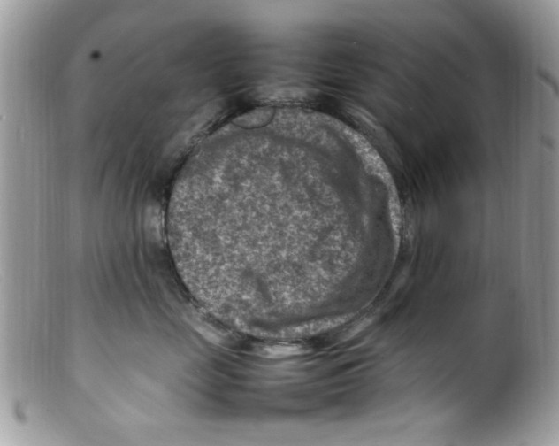 X0000098160669200805151230