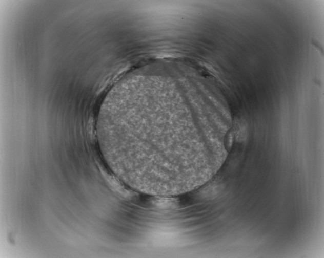 X0000098160670200805151230