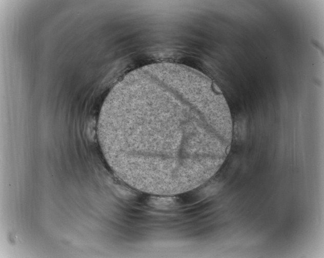 X0000098160671200805151230