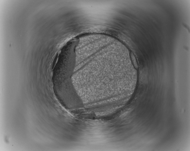 X0000098160673200805151229