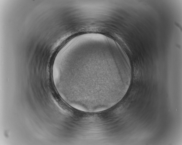 X0000098160674200805151229