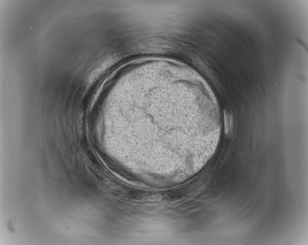 X0000098160675200805151229