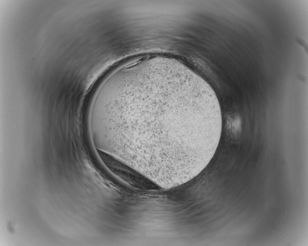 X0000098160676200805151229