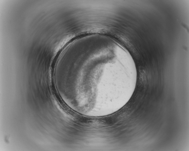 X0000098160678200805151229