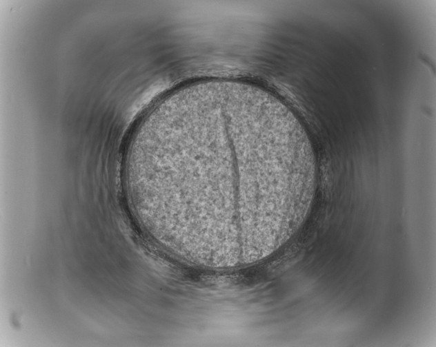 X0000098160679200805151229