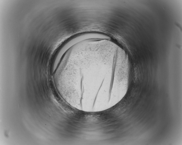 X0000098160680200805151229