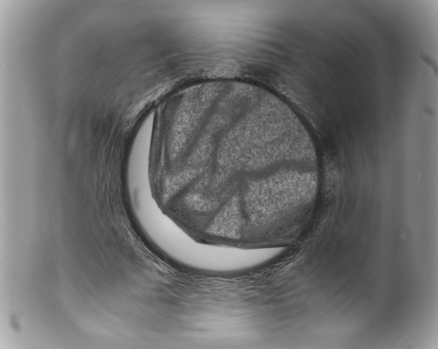 X0000098160681200805151229