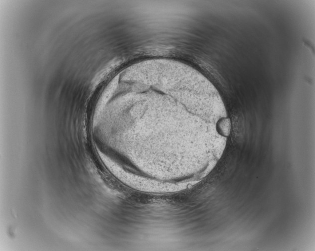 X0000098160682200805151229