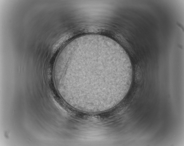 X0000098160683200805151229