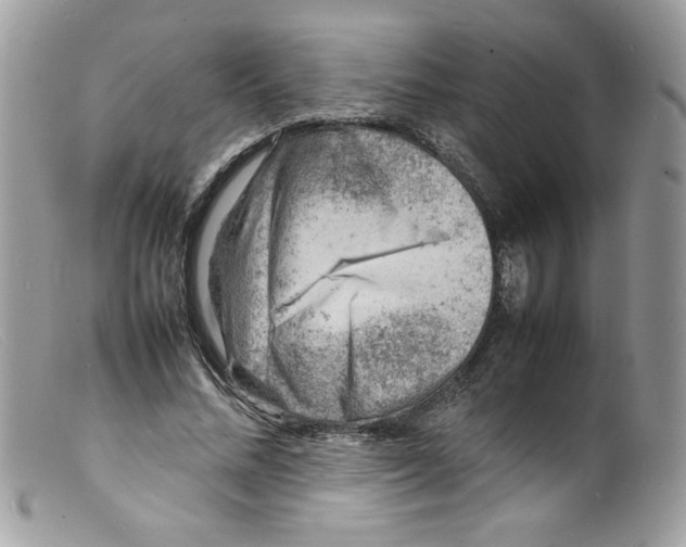 X0000098160684200805151229