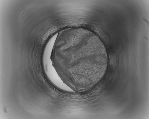 X0000098160685200805151229