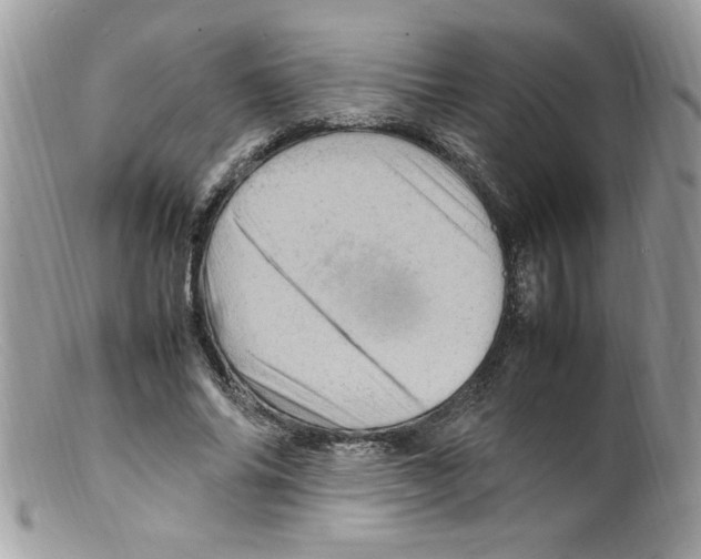 X0000098160686200805151229