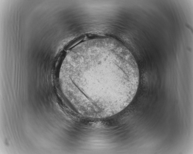 X0000098160688200805151229