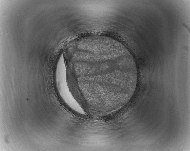 X0000098160689200805151229