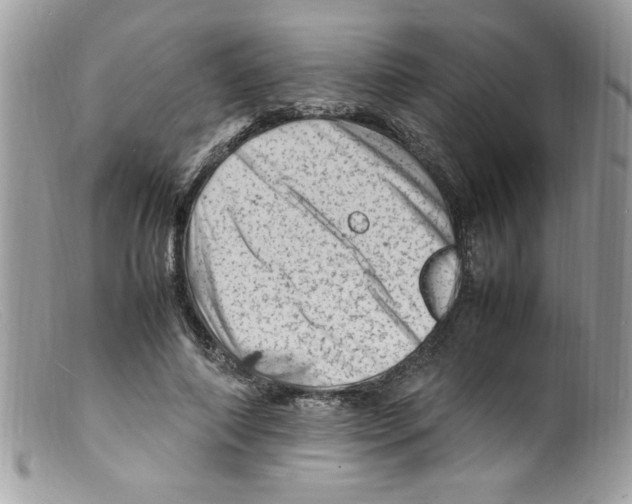 X0000098160690200805151229