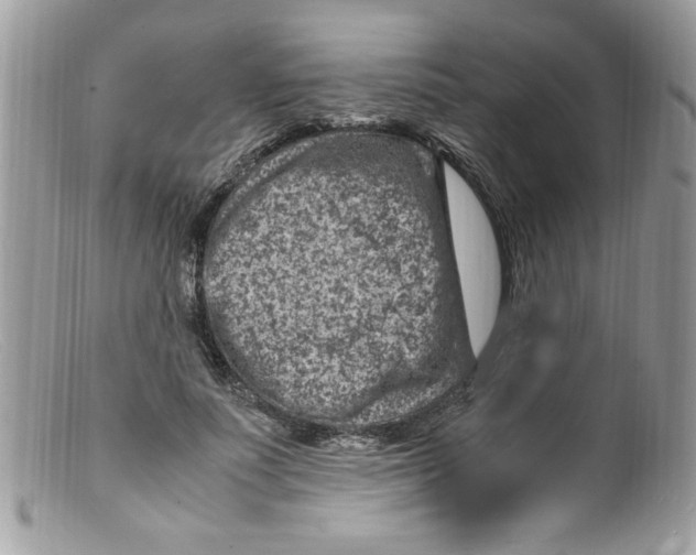 X0000098160691200805151229