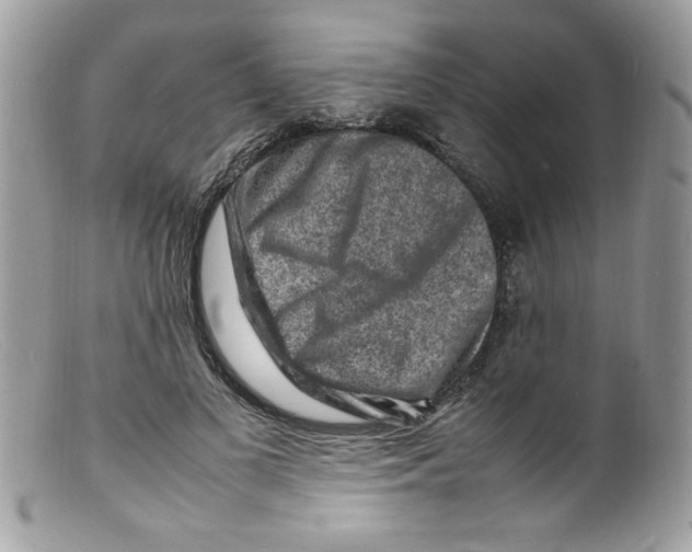 X0000098160693200805151229