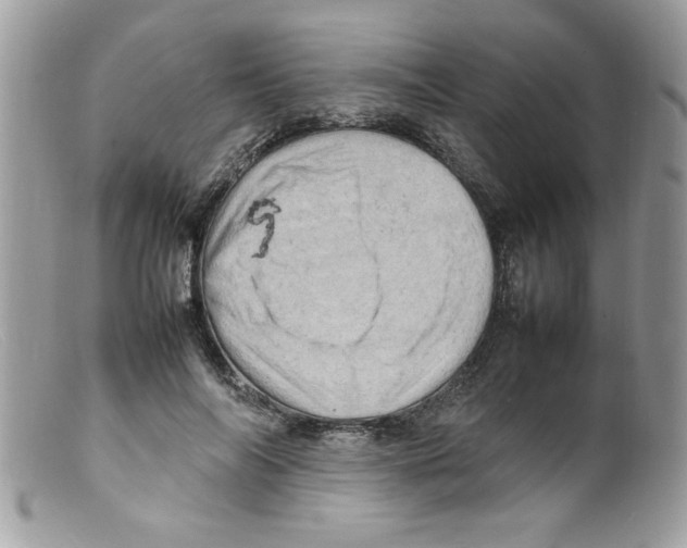 X0000098160694200805151229