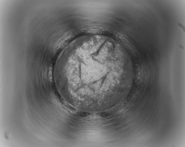 X0000098160696200805151229