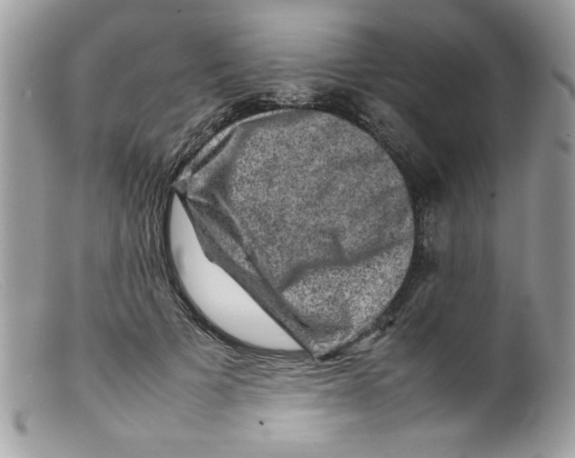 X0000098160697200805151229