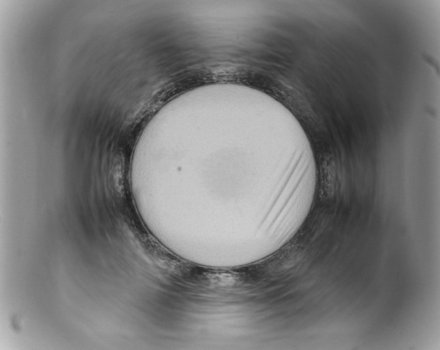 X0000098160698200805151229