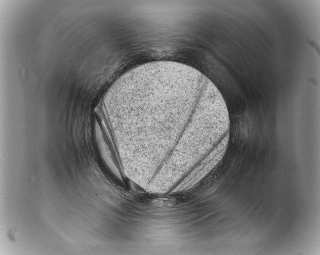 X0000098160700200805151229