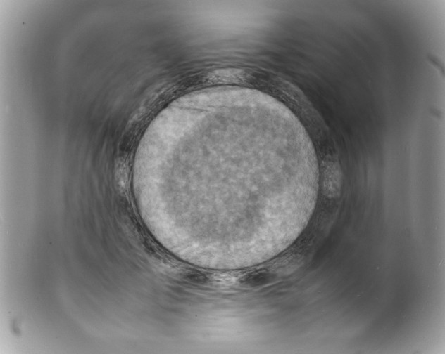 X0000098160701200805151229