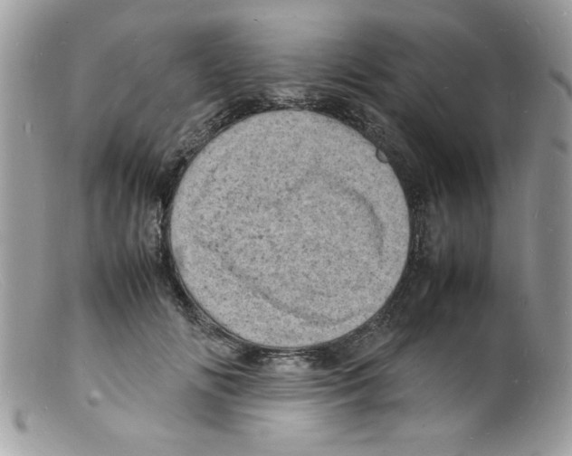 X0000098160702200805151229