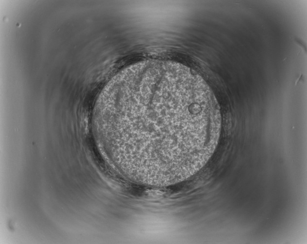 X0000098160703200805151229