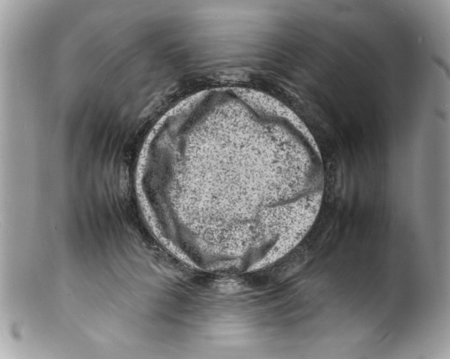 X0000098160704200805151229