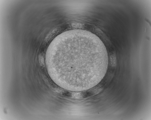 X0000098160705200805151229