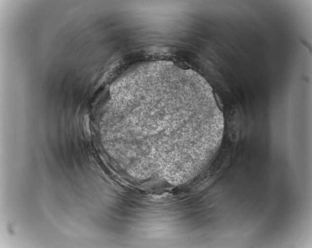 X0000098160708200805151229