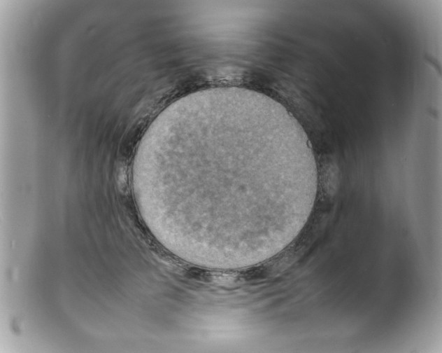 X0000098160709200805151229