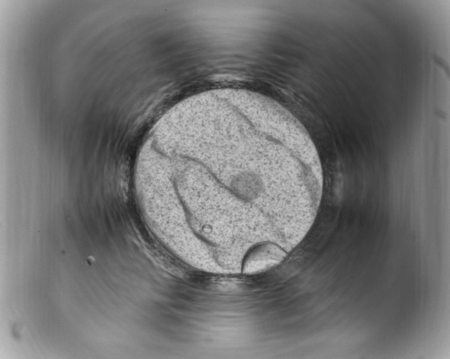 X0000098160710200805151229