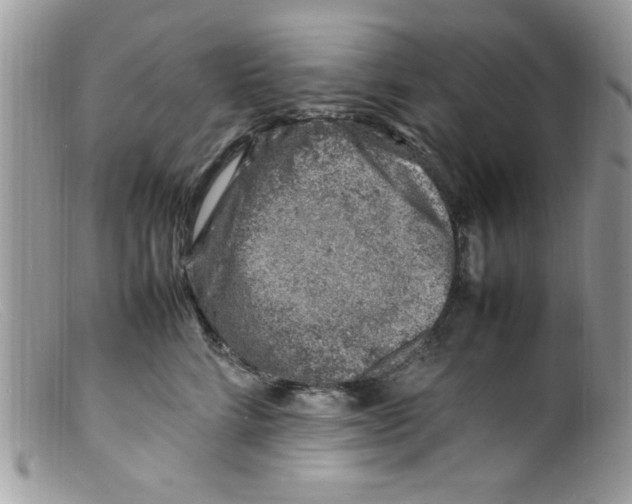 X0000098160712200805151229