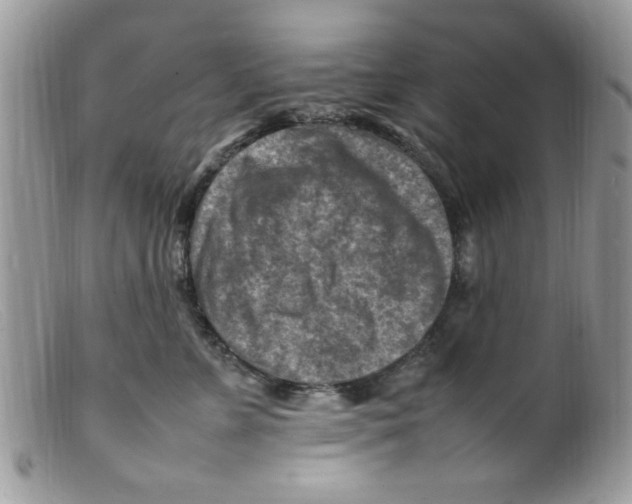 X0000098160715200805151229