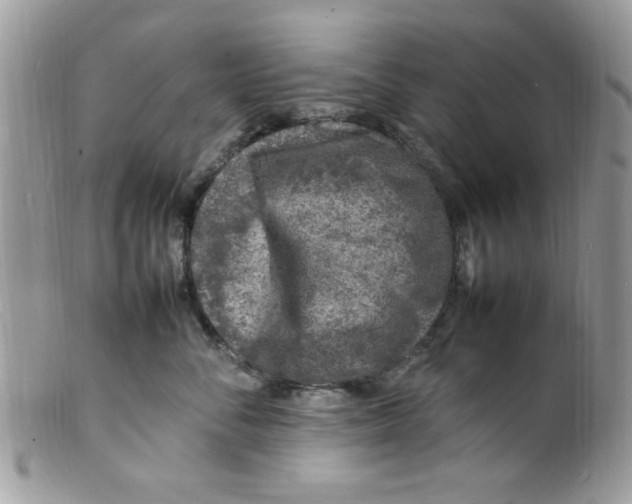 X0000098160716200805151229