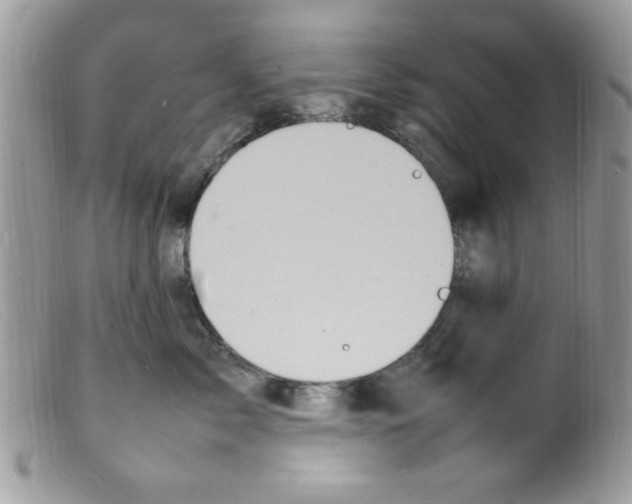 X0000098160717200805151229