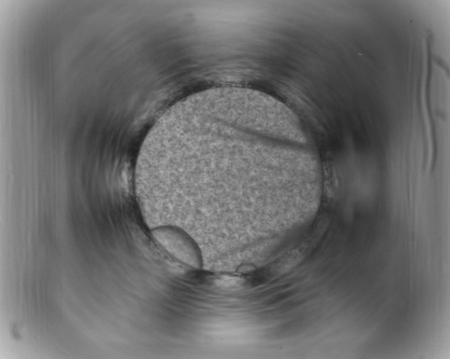 X0000098160718200805151229