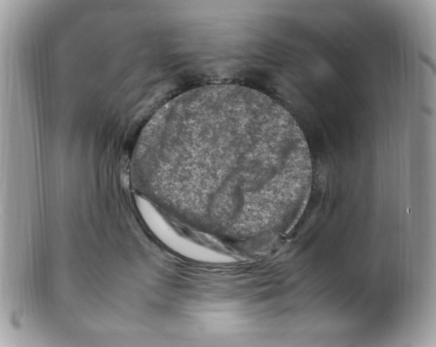 X0000098160719200805151229