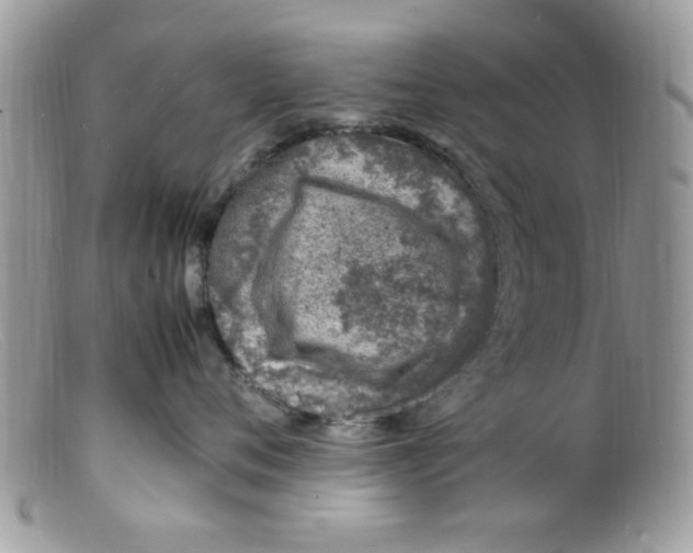 X0000098160720200805151229