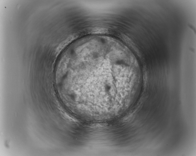 X0000098160721200805151228