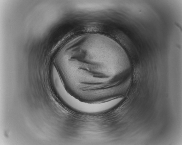 X0000098160722200805151228